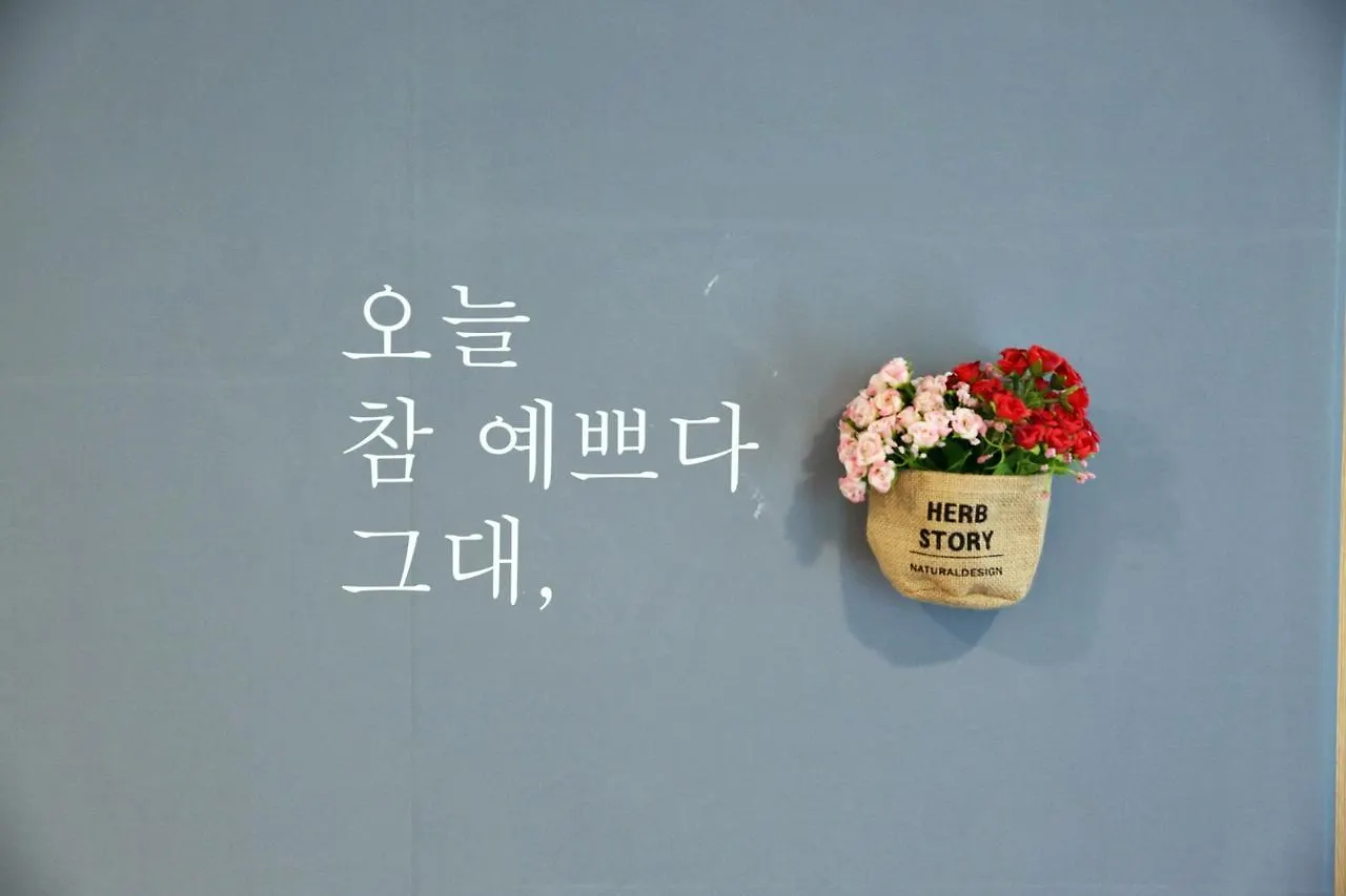 펜션 Park'S Pension Haeundae 부산광역시 대한민국